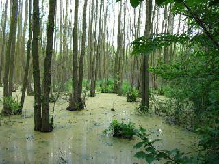 Николай Субботин - По ту сторону реальности (сборник)