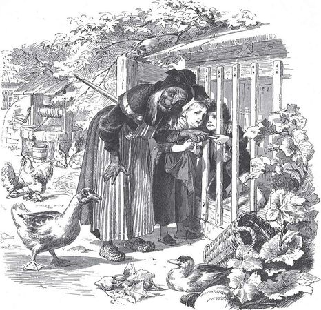 Якоб Гримм - Настоящие сказки братьев Гримм. Полное собрание