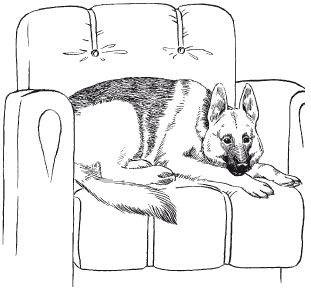 В. Гриценко - Перевоспитание собак