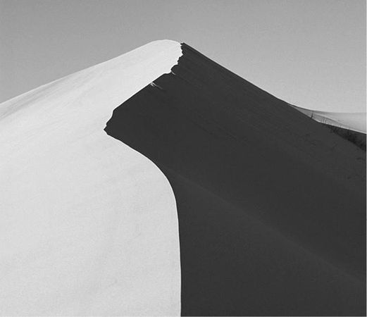 Николай Непомнящий - 100 великих загадок природы