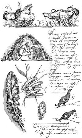 Алексей Сицко, Михаил Блюм и др. - Советы начинающему охотнику
