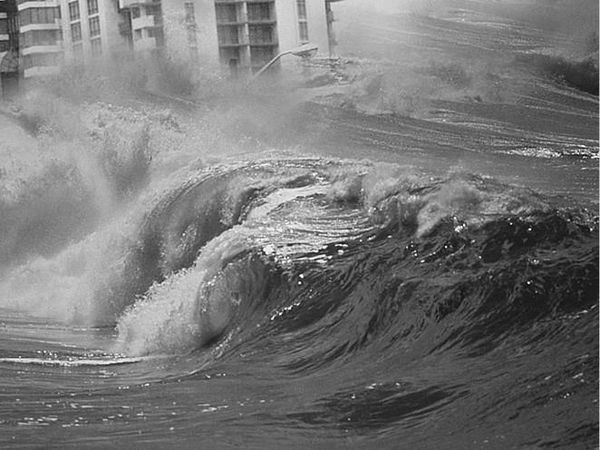 Николай Непомнящий - 100 великих загадок природы