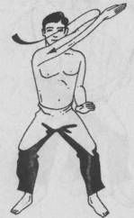 Николай Шерстенников - Семь горизонтов Силы