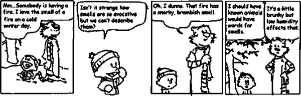 Дэвид Чалмерс - Сознающий ум. В поисках фундаментальной теории