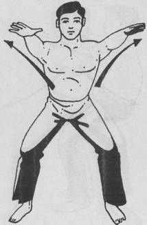 Николай Шерстенников - Семь горизонтов Силы