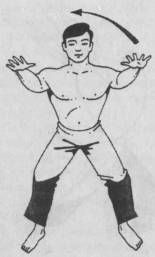 Николай Шерстенников - Семь горизонтов Силы