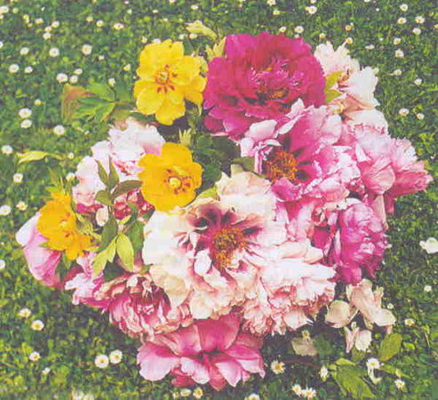 Марианна Успенская - Пионы