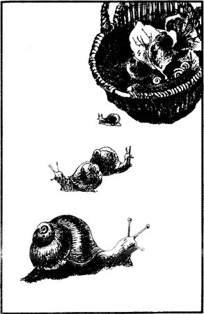 Александр Дюма - Капитан Памфил