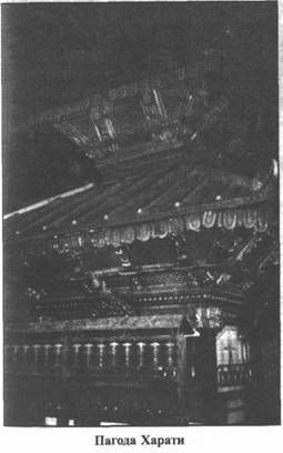 Эрнст Мулдашев - Золотые пластины Харати