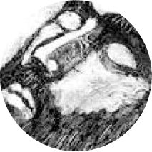 Кирилл Алейников - Дар речи (сборник)