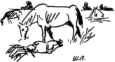 Юрий Цыганков-Серебряков - Сын эпохи