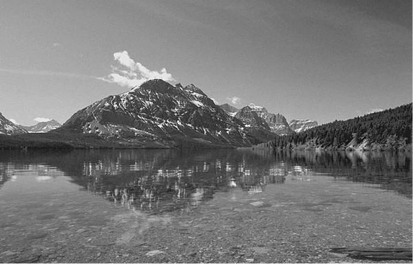 Николай Непомнящий - 100 великих загадок природы