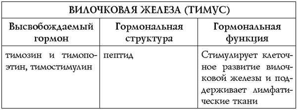 Сан Лайт - Чакры - энергии жизненных сфер. Работа с внутренним космосом