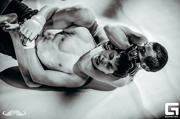 Константин Промысловский - Пошаговое руководство для изучающих смешанные...