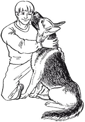 В. Гриценко - Перевоспитание собак