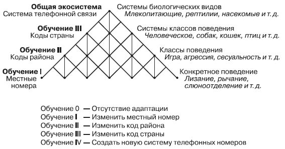 Роберт Дилтс, Джудит Делозье - НЛП-2: поколение Next