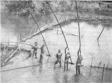 Илья Сучков - Краски далекого острова