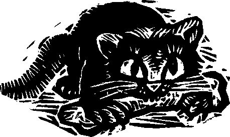 Народные сказки Народные сказки - Королева Лебедь. Литовские народные сказки