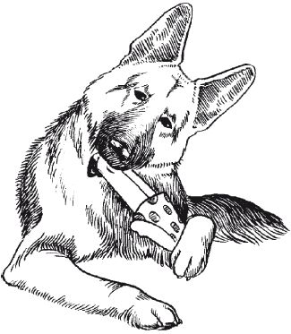 В. Гриценко - Перевоспитание собак