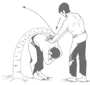 Николай Шерстенников - Семь горизонтов Силы