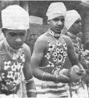 Илья Сучков - Краски далекого острова