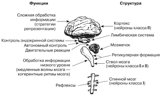 Роберт Дилтс, Джудит Делозье - НЛП-2: поколение Next