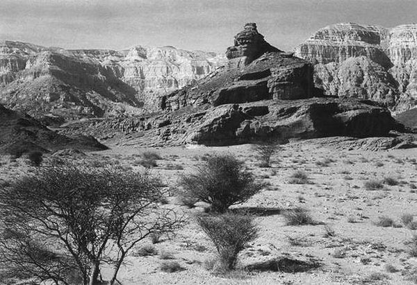 С. Владович - Библейские места Иерусалима