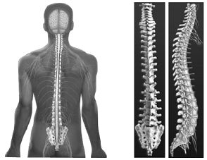 Роберт Дилтс, Джудит Делозье - НЛП-2: поколение Next
