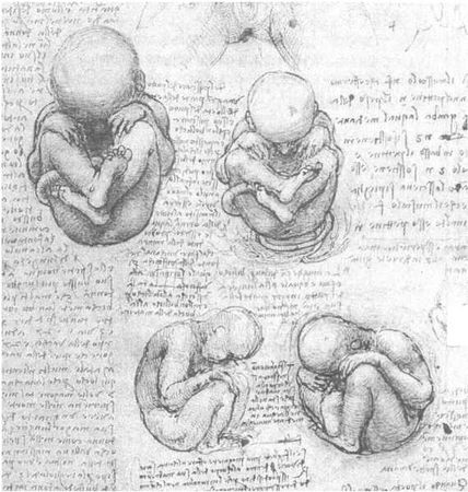 Мирослав Адамчик - 100 пророчеств Леонардо да Винчи