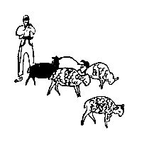 Мирослав Зикмунд, Иржи Ганзелка - Перевернутый полумесяц