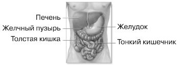 НЛП-2: поколение Next
