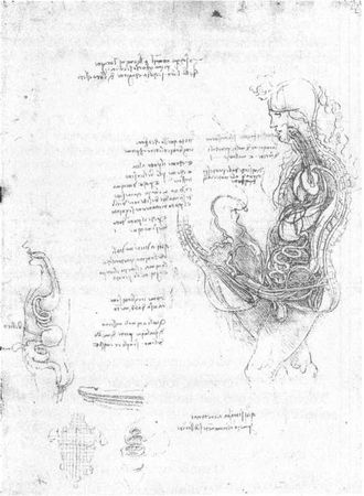 Мирослав Адамчик - 100 пророчеств Леонардо да Винчи