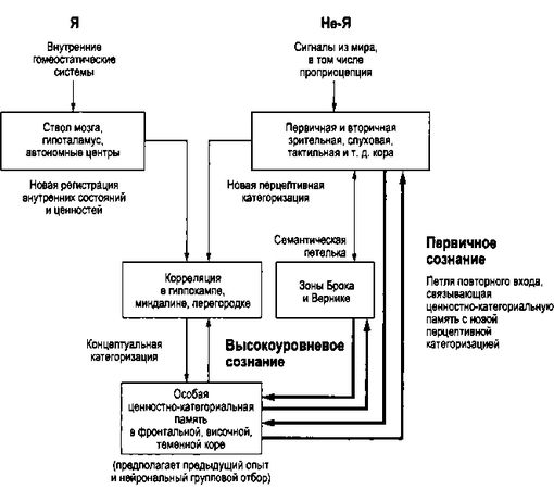 Дэвид Чалмерс - Сознающий ум. В поисках фундаментальной теории