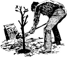 Анна Зорина - Календарь умного садовода и огородника