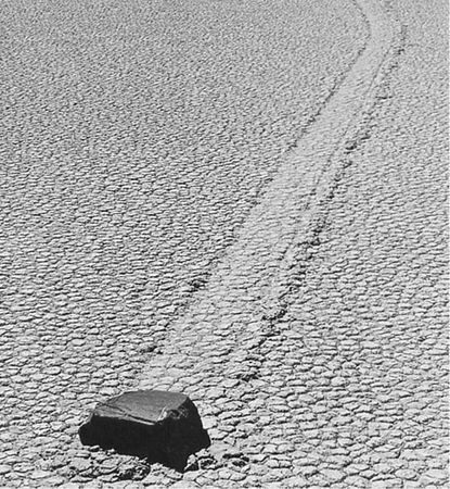 Николай Непомнящий - 100 великих загадок природы