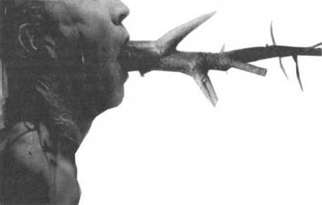 Епископ Митрофан Баданин - Правда о русском мате