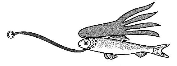 Александр Пышков, Сергей Смирнов - Ловля рыбы со льда