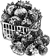 Анна Зорина - Календарь умного садовода и огородника