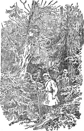 Олег Коряков - Хмурый Вангур