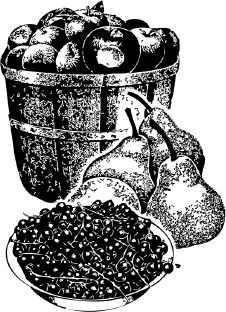 Анна Зорина - Календарь умного садовода и огородника