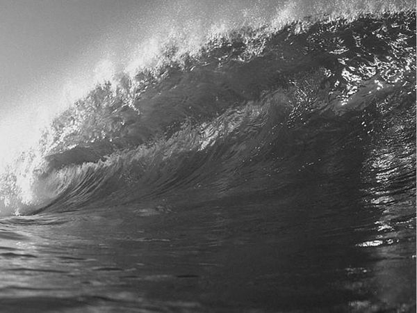 Николай Непомнящий - 100 великих загадок природы