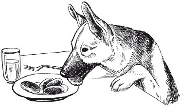 В. Гриценко - Перевоспитание собак