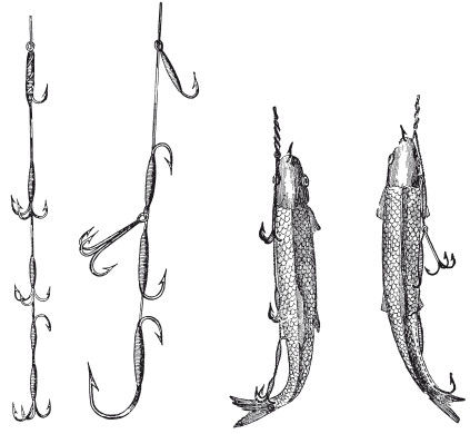 Леонид Сабанеев - Жизнь и ловля пресноводных рыб