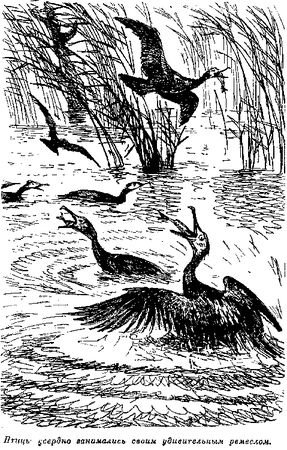 Томас Рид - Собрание сочинений, том 3. Охотники за растениями, Ползуны по...