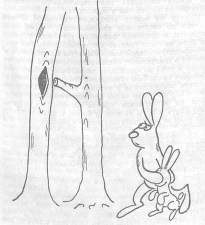 Михаил Белогоров, Вадим Велыкив и др. - Азбука секса: от Древнего Востока до...