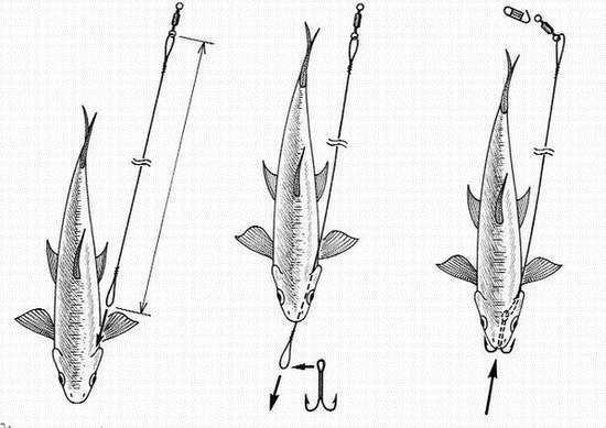 Александр Пышков, Сергей Смирнов - Ловля рыбы со льда