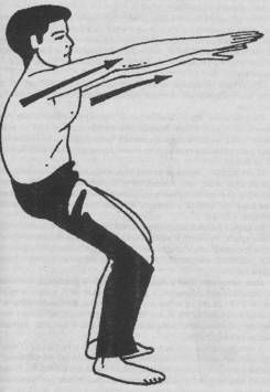 Николай Шерстенников - Семь горизонтов Силы