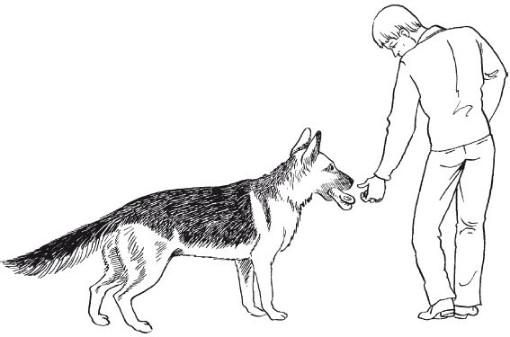 В. Гриценко - Перевоспитание собак