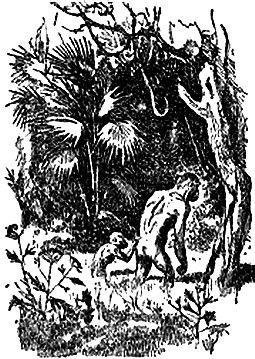 Николай Плавильщиков - Недостающее звено