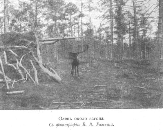 Сергей Дурылин - За полуночным солнцем